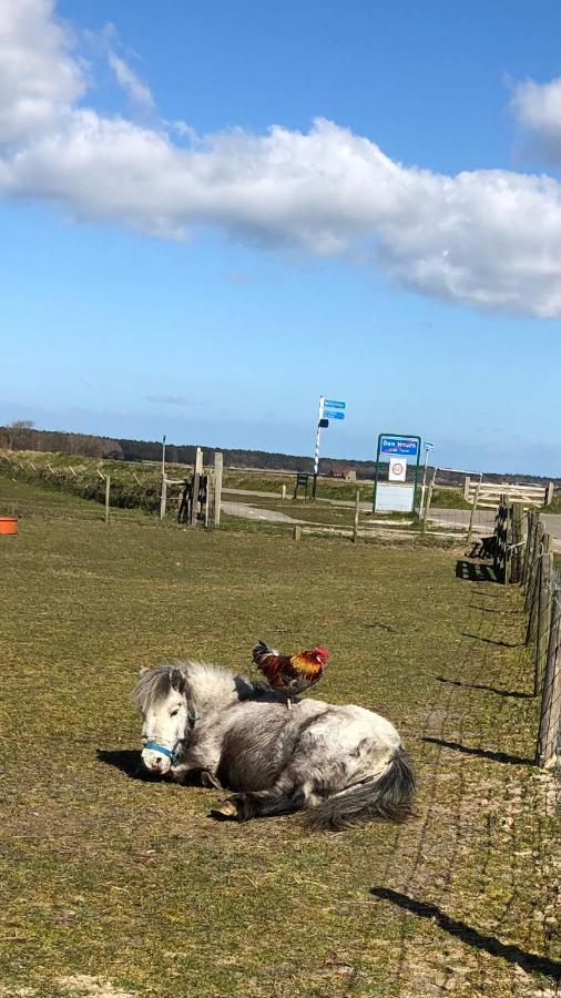 Duinhotel Texel De Koog  Exteriör bild